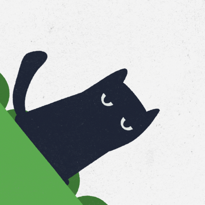 Example of Animations That Bring Your Ideas To Life