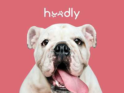 Hundly - Branding animal animal branding brand branding design dog dog brand graphic design logo logo design paws typography vector visual identity