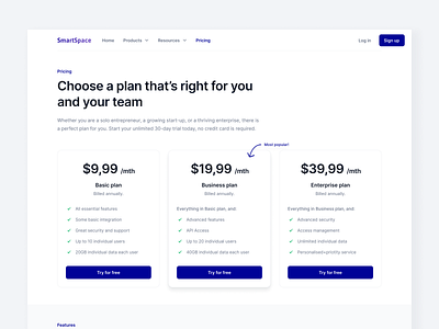 Pricing Page b2b b2c design ecommerce landing page pricing page saas subscription ui ux