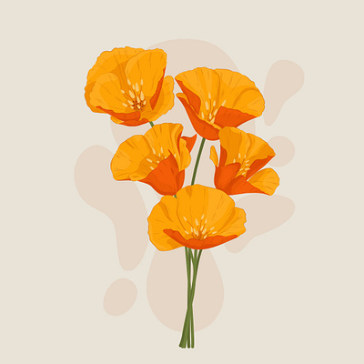 Bouquet of orange flowers bouquet bunch california poppy design field flowers floral flowers graphic design illustration orange flower poppies poster summer vector vector flower vector illustration vibrant colors