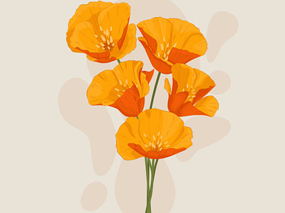 Bouquet of orange flowers bouquet bunch california poppy design field flowers floral flowers graphic design illustration orange flower poppies poster summer vector vector flower vector illustration vibrant colors