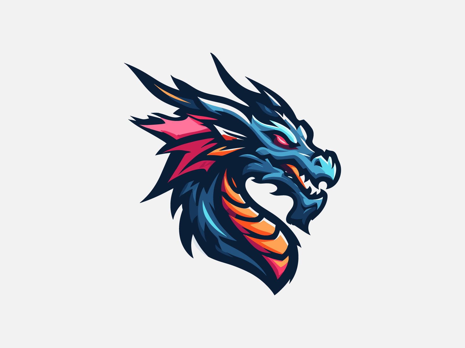 Dragon Logo by Austin Smith on Dribbble