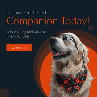 Advertisement Dog Adopt ads advertisement graphic design illustration logo typography ui user interface vector
