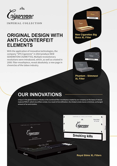 Brochure Design branding brochure design design graphic design illustration logo the dreamer designs typography vector