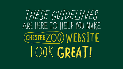 Chester Zoo / CMS Guidelines motion graphics ui