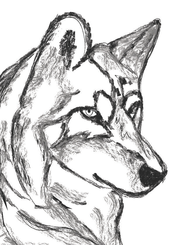 Sketch of a dog by Usmaan Ali on Dribbble