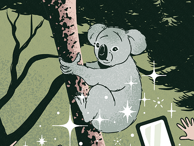Creature Comfort (CAA magazine) animal illustration koala life turism turist wild