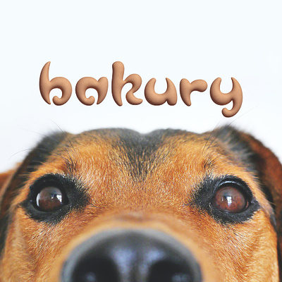 Bakury bakery design dog food lettering lettermark logo text logo typo typogaphy wordmark