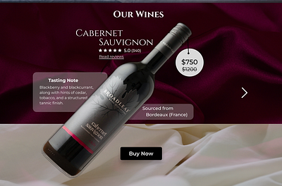 wine ecommerce landing page branding ui