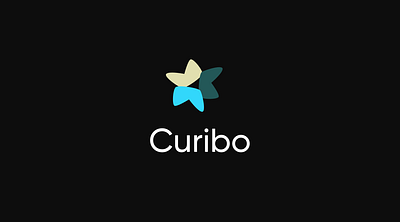 Curibo branding design logo logo design typography