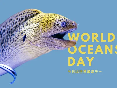 Non-Profit Organization Social Media Post Design graphic design poster socialmedia