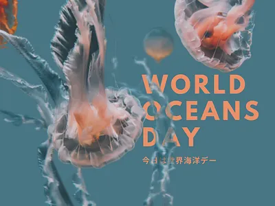 Non-Profit Organization Social Media Post Design graphic design poster socialmedia