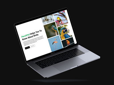 PerchPal 🦚 - Website UI Design 3d animation app birds branding clean design graphic design logo motion graphics nature ui uichallange userexperience ux website websitedesign