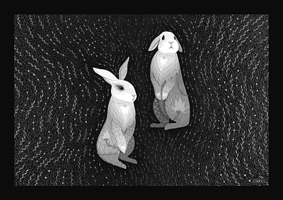 Majestic Rabbits adobe fresco animal art black and white bunny art illustration nature art rabbit illustration rabbits art vector art