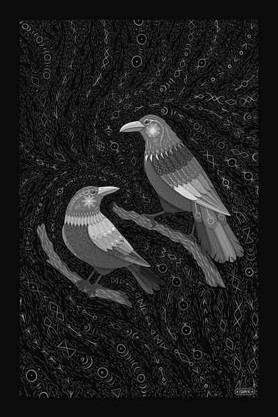 Huginn and Muninn adobe fresco animal art bird art crow art illustration nature art norse mythology odin raven illustration vector art viking art