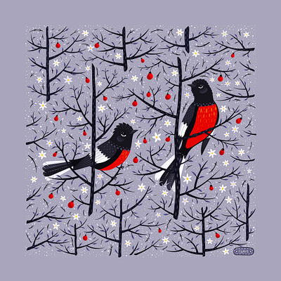 Painted Redstarts adobe fresco animal art bird art bird illustration illustration nature art painted redstart vector art