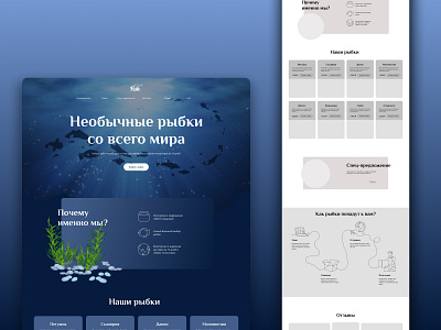 Fish - landing page for aquarium fish store ux|ui designer баннер веб дизайнер лэндинг