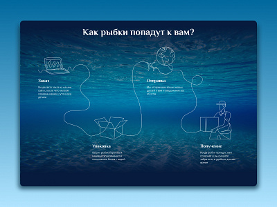 Delivery (Fish - landing page for aquarium fish store) ux|ui designer баннер веб дизайнер лонгрид