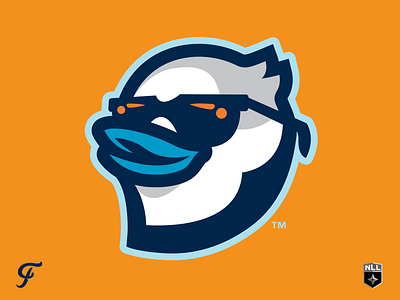 NLL UnBOXed - Tampa Bay Snowbirds Head blue jay branding florida grey jay logo sports tampa