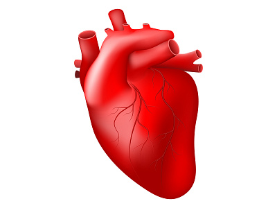Realistic Heart anatomy banner design disease illustration logo medical science