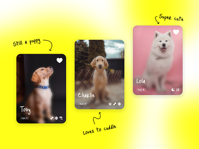 Dog Portraits design dog portrait ui ui components