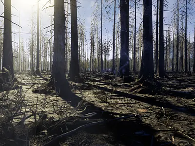 Jungle Environment Design - Unreal Engine 3d animation art and design design environment art environment design game art game design game development game environment graphic design level design lighting motion graphics photoshop post processing texturing unreal engine