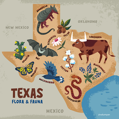 Illustrated map of Texas nature animals vector graphic illustrated map illustration map poster print texas map vectorillustration vectormap