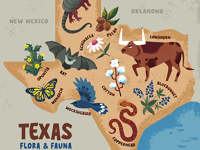 Illustrated map of Texas nature animals vector graphic illustrated map illustration map poster print texas map vectorillustration vectormap