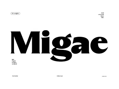 Migae | Display Font | Free To Try Font banner font decorative display font elegant free font heading font italic logo font modern sans serif font typography