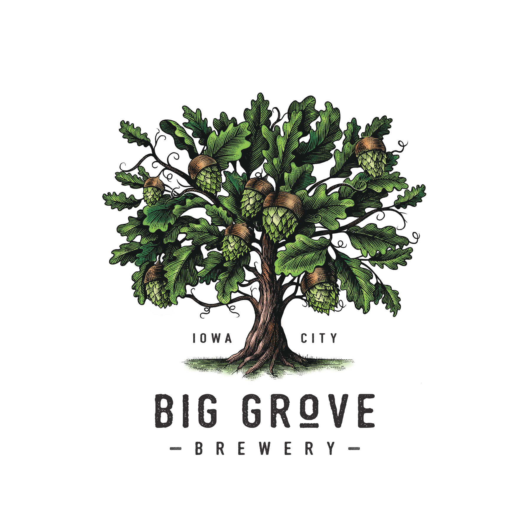 Big Grove Brewery Logomark Illustrated by Steven Noble artwork big grove brewery branding design engraving etching illustration line art logo scratchboard steven noble woodcut