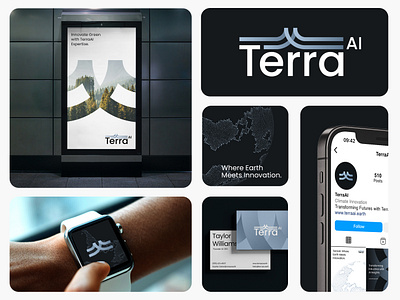 TerraAI - Visual Identity 3d branding graphic design logo ui