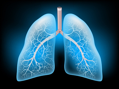 Lungs with glowing effect anatomy medical pneumonia