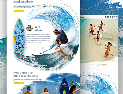 Website design for surfers artists bear bush color colors creative design drink freedom graphic design graphicdesign surf surfer ui water wave webdesign website