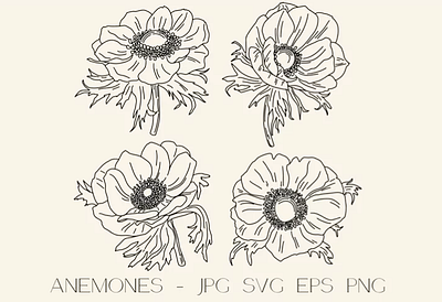 Anemones graphic illustration graphic design handdrawn illustration