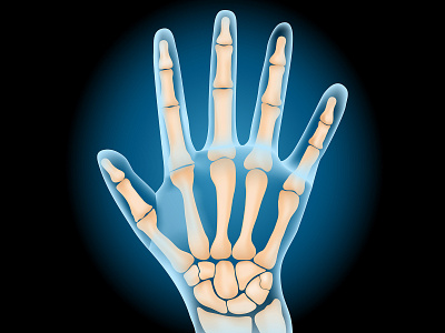 Carpal bones. Realistic palm on dark background. anatomy illustration medical surgery vector