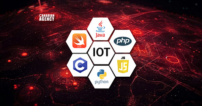 Programming Languages for the IOT (Internet of Things) in 2024 blockchain custom software development design mobile app development shopify development uiux design