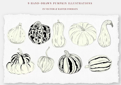 Pumpkins, hand drawn illustrations autumn food graphic design illustration pumpkin