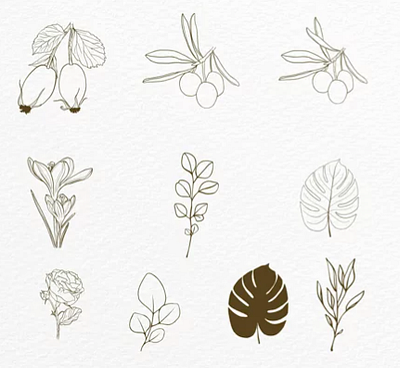 Floral graphics, illustration floral botanical graphic design illustration