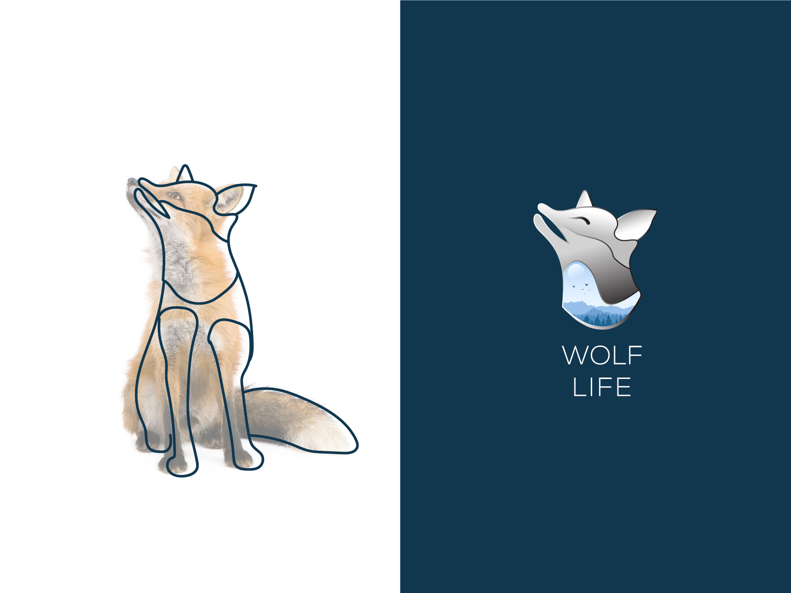 Wolf Logo animal animal logo brand idantity logo logo design mahdih wolf wolf logo