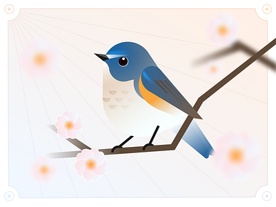 Birds & Flowers 19/24 Orange-flanked Bluetail birds graphic design illstrator