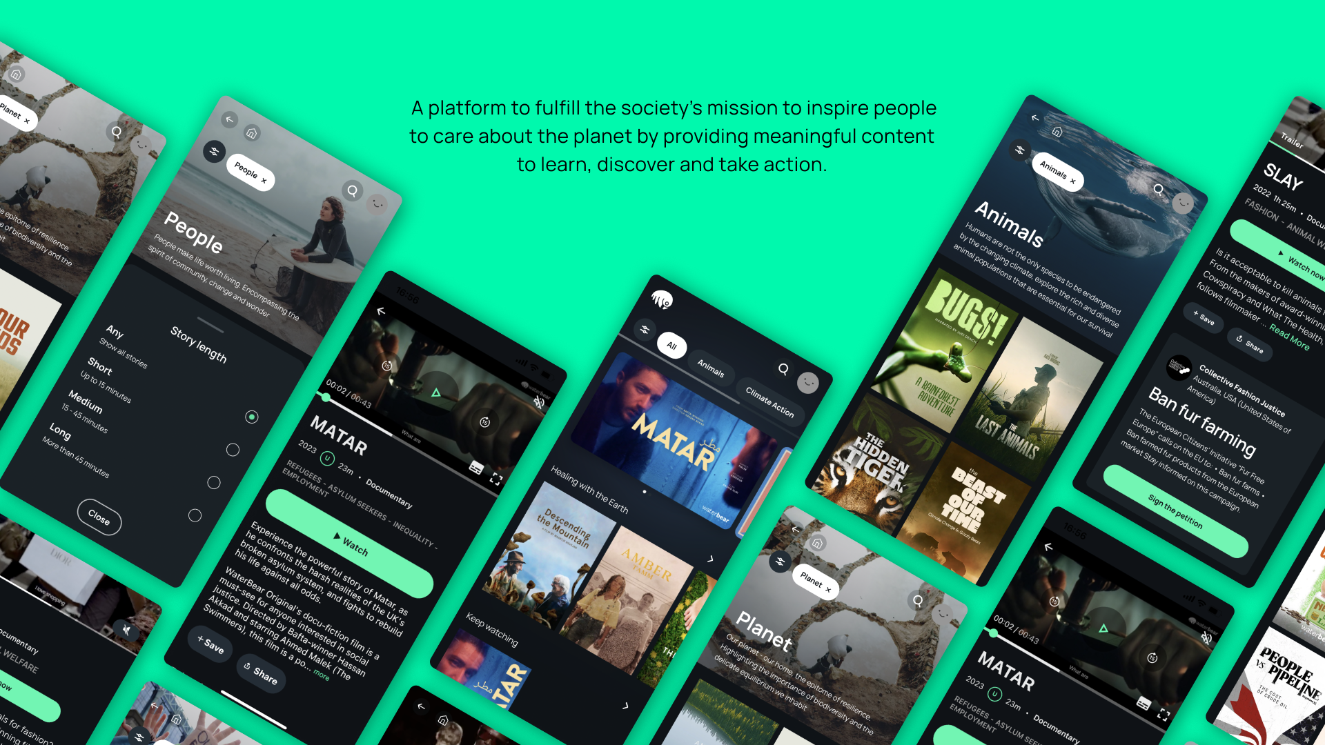 Waterbear UX/UI Design Case study branding graphic design ui