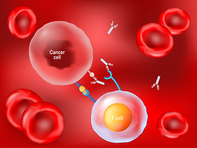 Cancer therapy and monoclonal antibodies tumor