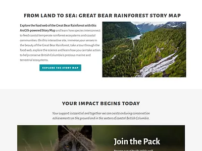 Pacific Wild website design and develop. elementor elementor fix elementor issues elementor pro redesign webstie redesign wordpress wordpress wordpress bug