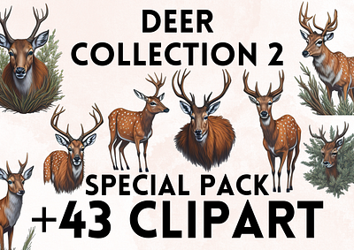 Deer Clipart animal animals clip art clipart clipart png deer deers design graphic design illustration png