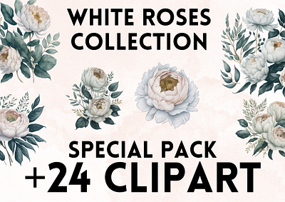 White Rose Clipart clip art clipart clipart png design flower flowers graphic design illustration png rose roses white rose