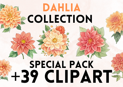 Dahlia Clipart clip art clipart clipart png dahlia dahlias design flower flowers graphic design illustration png rose roses