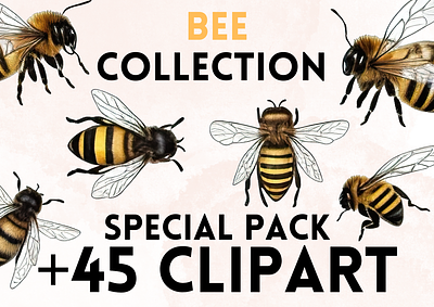 Bee Clipart animal animals bee bees clip art clipart clipart png design graphic design illustration png