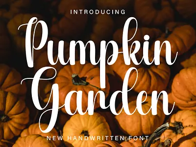 Pumpkin Garden Font crafting font cute font handwritten monoline new font script script font