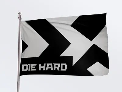 Flag DH flag identity running