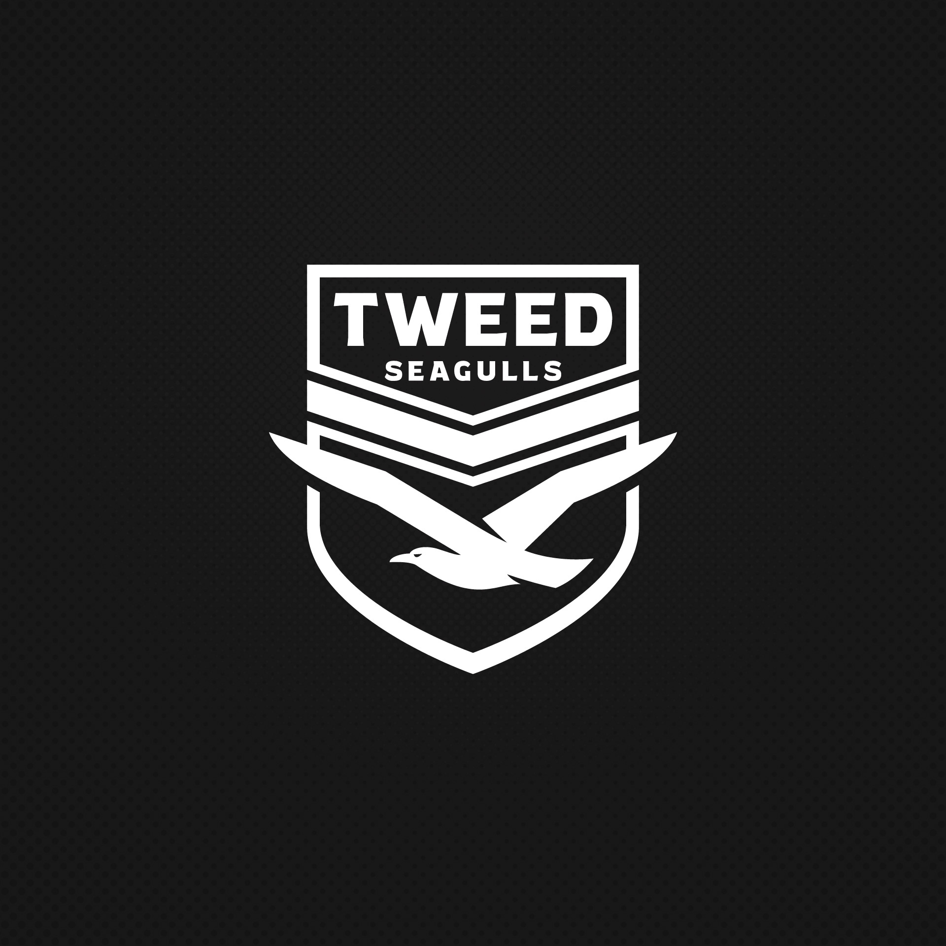 Tweed Seagulls branding logo rugby seagulls tweed